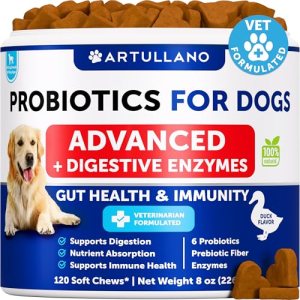 Probiotics for Dogs – Support Gut Health