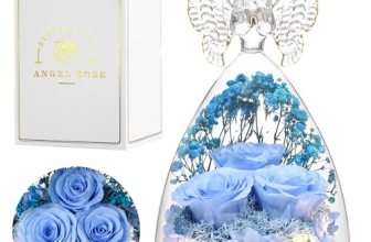 Tiaronics Mothers Day Rose Gifts for Women Preserved Real Flower in Glass Angel