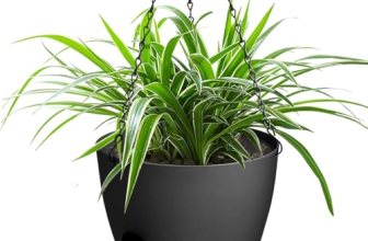 Vanslogreen Hanging Planters for Indoor Outdoor Plants