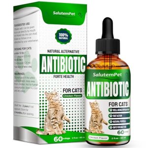Cat Antibiotic for Infections, UTIs