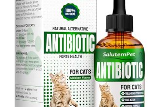 Cat Antibiotic for Infections, UTIs