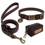 Wisedog Waterproof Dog Collar and Leash Set
