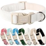 ARING PET White Dog Collar-Adjustable Small Dog Collars