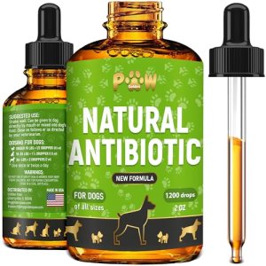 Dog Antibiotics for Infections, Cough, & Teeth Moments