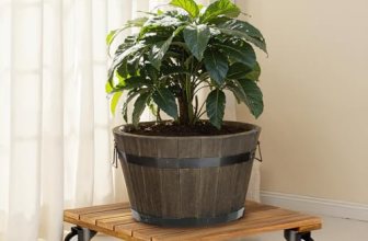 2pack Wood Plant Caddy With Wheels Heavy Duty