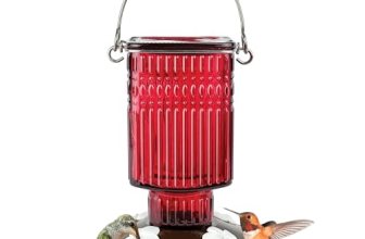 Nature’s Way Hanging Glass Hummingbird Feeder for Outdoor Decor