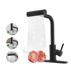Black Kitchen Faucets with Pull Down Sprayer