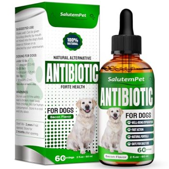 Natural Antibiotics for Dogs and Puppies