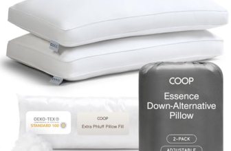 Coop Home Goods Essence Down Alternative Pillow Set of 2