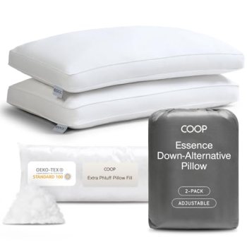 Coop Home Goods Essence Down Alternative Pillow Set of 2