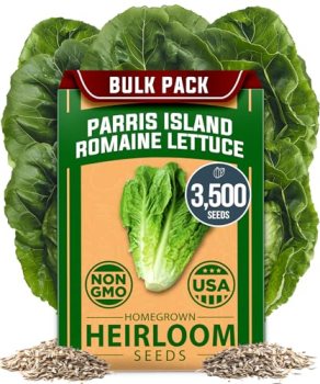 HOME GROWN Parris Island Romaine Lettuce Seeds 3