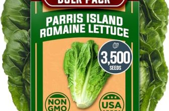 HOME GROWN Parris Island Romaine Lettuce Seeds 3