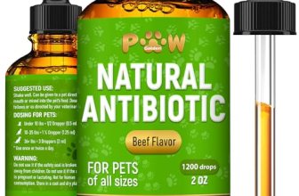 Antibiotics for Dogs | Antibiotics for Cats | Herbal Supplement for Digestion