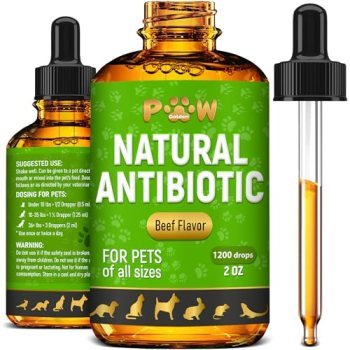 Antibiotics for Dogs | Antibiotics for Cats | Herbal Supplement for Digestion