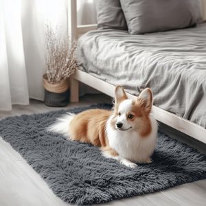 OLANLY 2×3 Machine Washable Small Bedside Rug