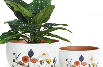 YBX 8 Inch & 6 Inch Terracotta Plant Pots
