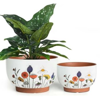 YBX 8 Inch & 6 Inch Terracotta Plant Pots