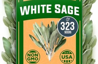 HOME GROWN Non GMO White Sage Seeds 323 Pack Heirloom Seeds