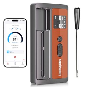 Wireless Meat Thermometer: 500FT Bluetooth Smart Meat Thermometer for Cooking an