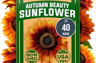 HOME GROWN Autumn Beauty Sunflower Seeds to Plant 40 Heirloom Non-GMO Sunflower
