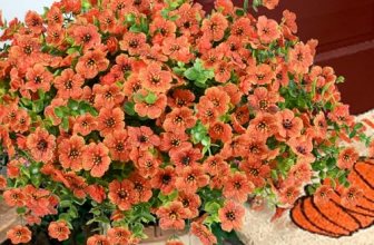 trytuny Artificial Flowers for Outdoor