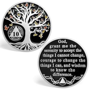 10 Year Sobriety Chips, Butterfly Tree of Life AA Coins Serenity Prayer Sobriety