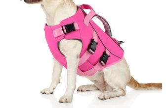 Dogcheer Dog Life Jacket with Double Rescue Handle