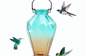 Glass Hummingbird Feeder for Outdoors Hanging