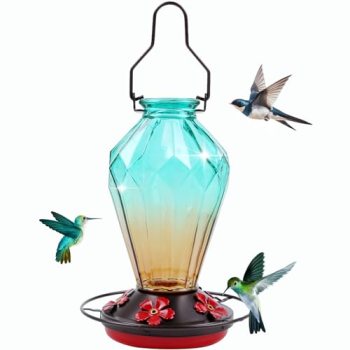 Glass Hummingbird Feeder for Outdoors Hanging