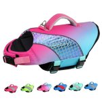 Doglay Dog Life Jacket for Boating & Swimming
