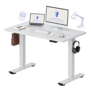 FLEXISPOT Standing Desk Electric Height Adjustable Desk with 48 x 24 Inch Splice