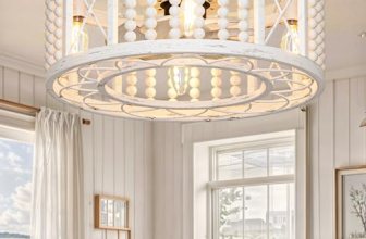 DWVO 18.5 Inch Caged Ceiling Fan with Lights and Remote