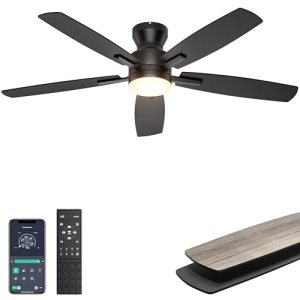 Ohniyou Ceiling Fans with Lights