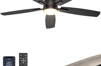 Ohniyou Ceiling Fans with Lights