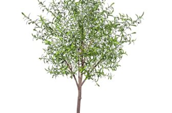 Niwellveb 8FT Fake Tree Artificial Olive Trees Artificial Indoor Realistic Potte