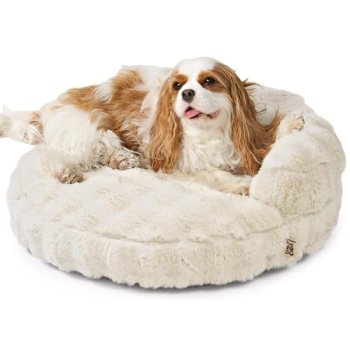 EHEYCIGA Soft Cat Couch Bed for Indoor Cats