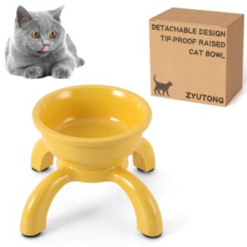 Raised Cat Bowls for Indoor Cats – Whisker Friendly Cat Food Bowl