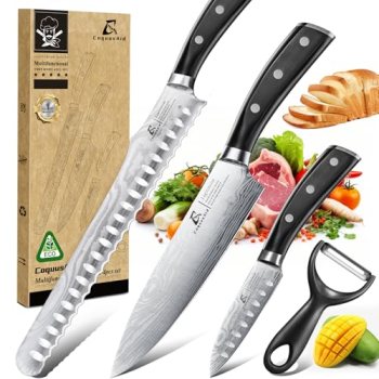 CoquusAid Kitchen Knives Set, 4 PCS Professional Chef Knife Set