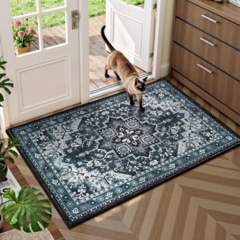 Rugflix 2×3 Washable Entryway Rug with Rubber Backing