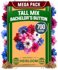 HOME GROWN Bachelor Button Flower Seeds Tall Mix 700+ Cornflower Heirloom Seeds