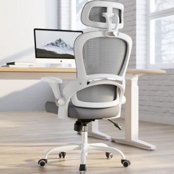 TRALT Office Chair – Ergonomic Office Chair with Back Support
