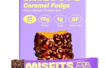 Misfits Vegan Protein Bars – Sweet Caramel Fudge | Nutrition Bars – 15g Protein