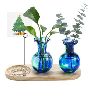 Pozfun Hand Blown Glass Plant Propagation Stations Plant Terrarium Wooden Stand