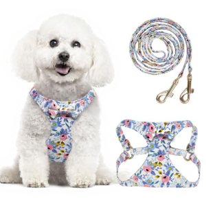 TEWIWAP Small Dog Harness and Leash Set Lightweight Cute Pet Harnesses with Bowt