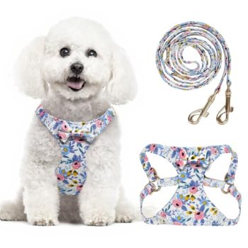 TEWIWAP Small Dog Harness and Leash Set Lightweight Cute Pet Harnesses with Bowt