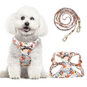 No Pull Small Dog Harness with Leash Set