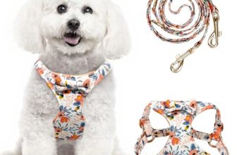 TEWIWAP Small Dog Harness and Leash Set