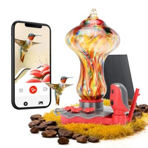 TT Nature Glass Smart Hummingbird Feeder with Camera Solar Powered 2K- AI Identi