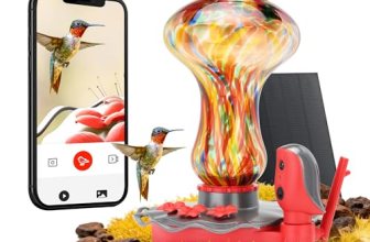 TT Nature Glass Smart Hummingbird Feeder with Camera Solar Powered 2K- AI Identi