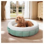 BALANCE Cat Beds for Indoor Cats